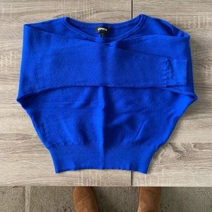 Express Royal Blue Sweater